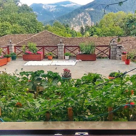 Eufrosini Guesthouse Metsovo Exterior photo