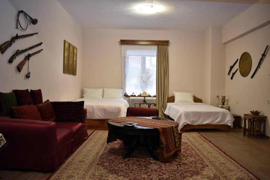 Eufrosini Guesthouse Metsovo Exterior photo